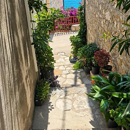 Apartmán Aurora Adriatica Brist